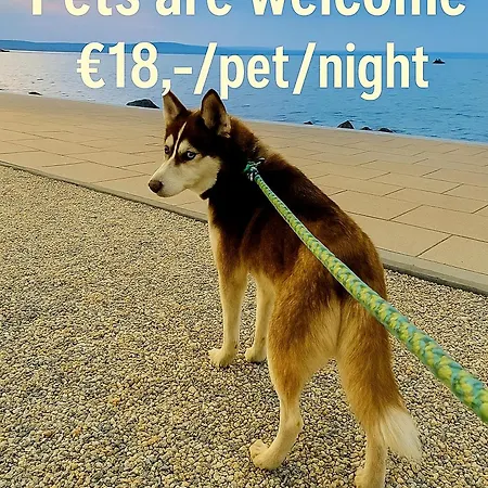 101 Siófok